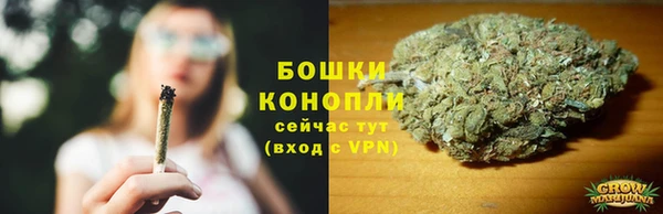 ECSTASY Богородицк